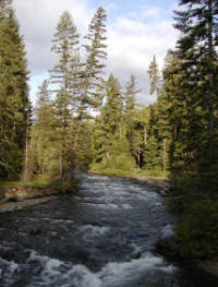 American River